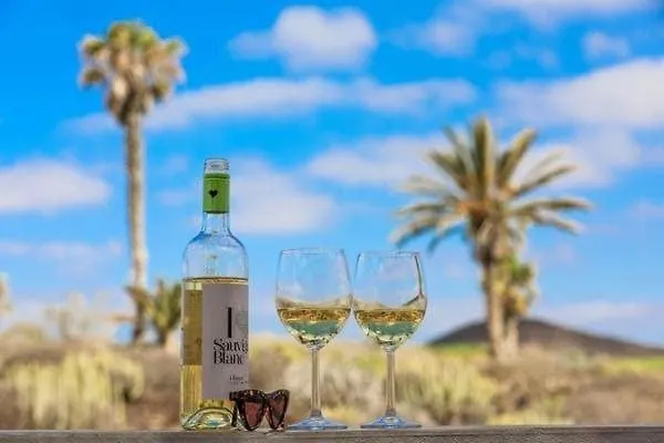 Studio 744 Tenerife San Miguel de Abona Lejlighed